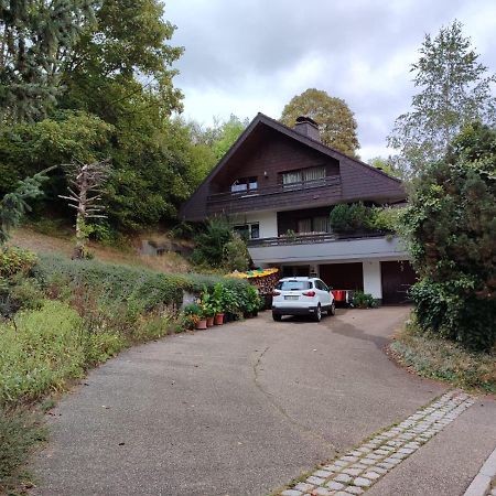 Feldbergsicht Leilighet Lenzkirch Eksteriør bilde