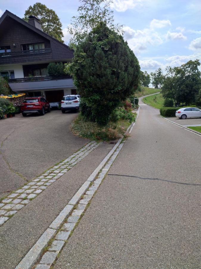 Feldbergsicht Leilighet Lenzkirch Eksteriør bilde