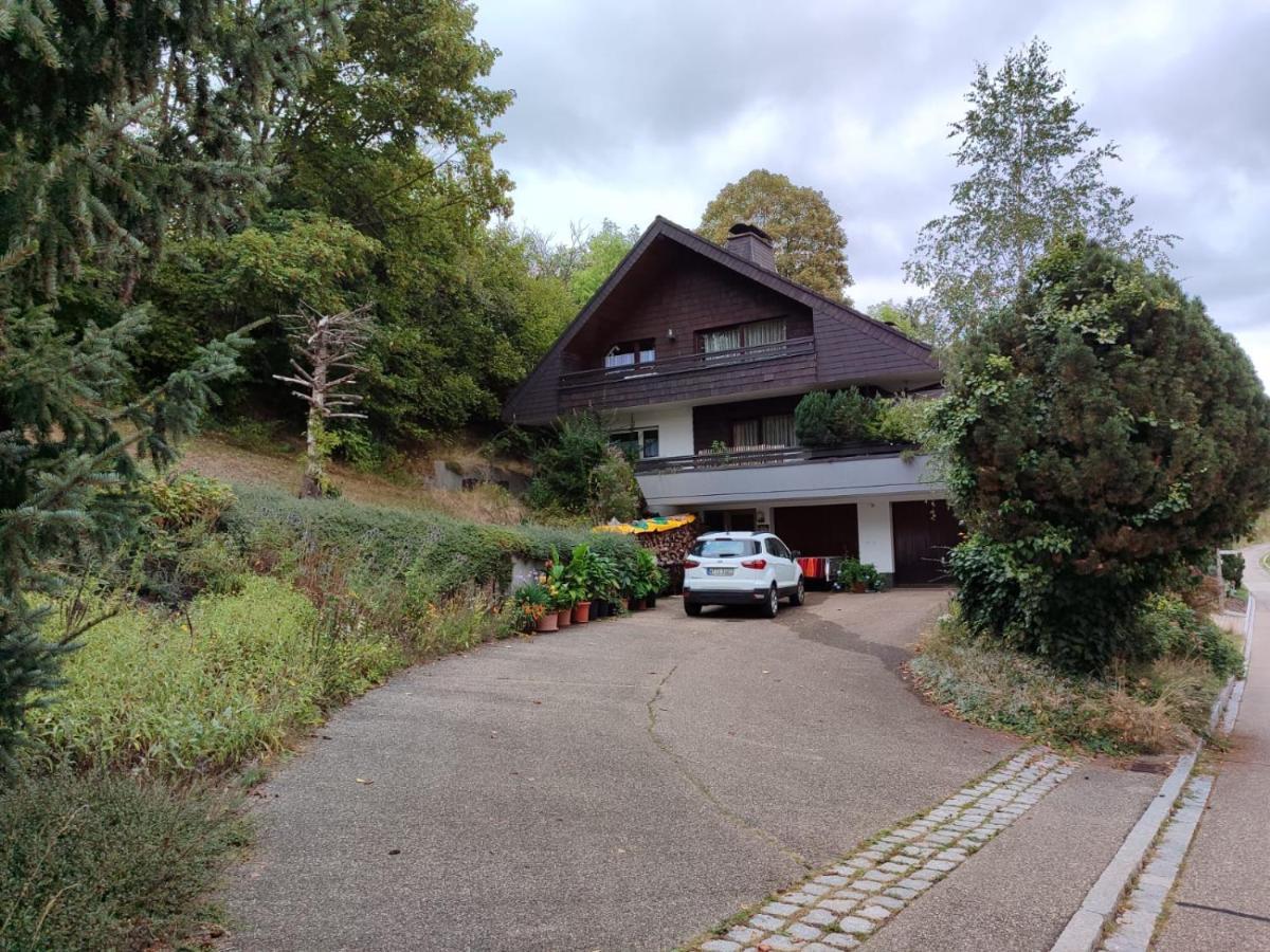 Feldbergsicht Leilighet Lenzkirch Eksteriør bilde