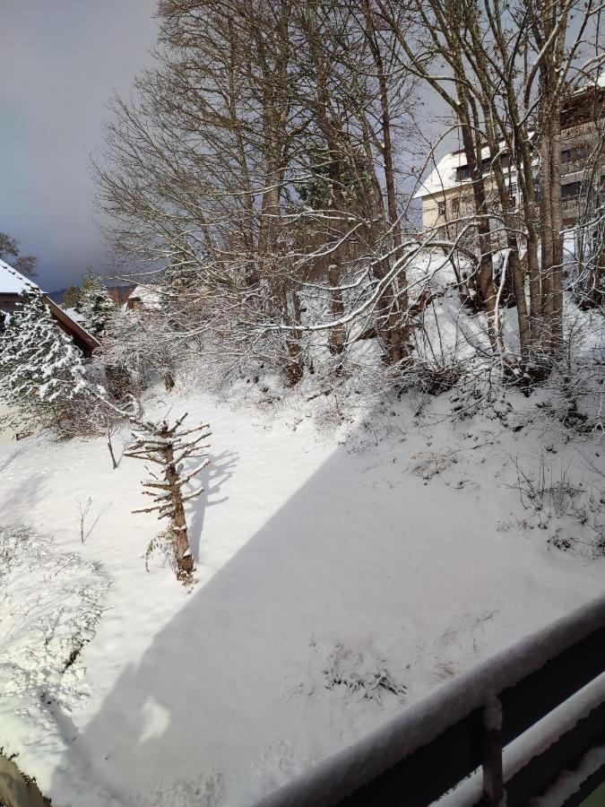 Feldbergsicht Leilighet Lenzkirch Eksteriør bilde