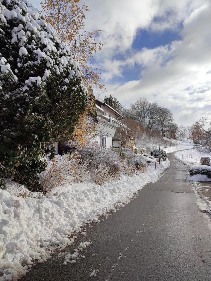 Feldbergsicht Leilighet Lenzkirch Eksteriør bilde