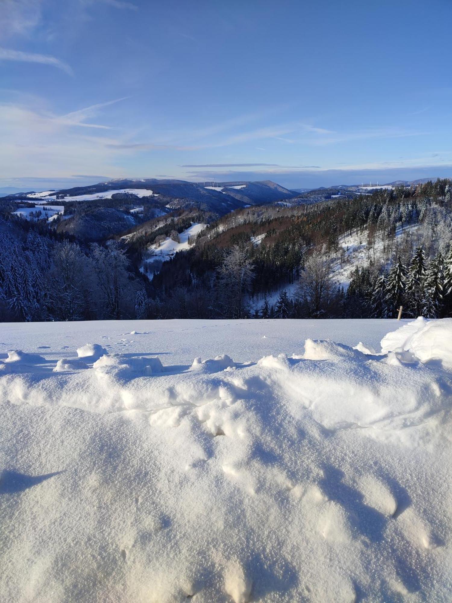 Feldbergsicht Leilighet Lenzkirch Eksteriør bilde